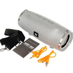 Колонка Bluetooth Walker WSP-160 Сірий